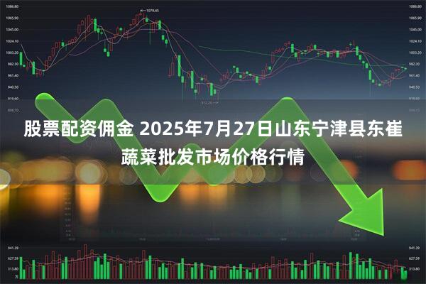股票配资佣金 2025年7月27日山东宁津县东崔蔬菜批发市场价格行情